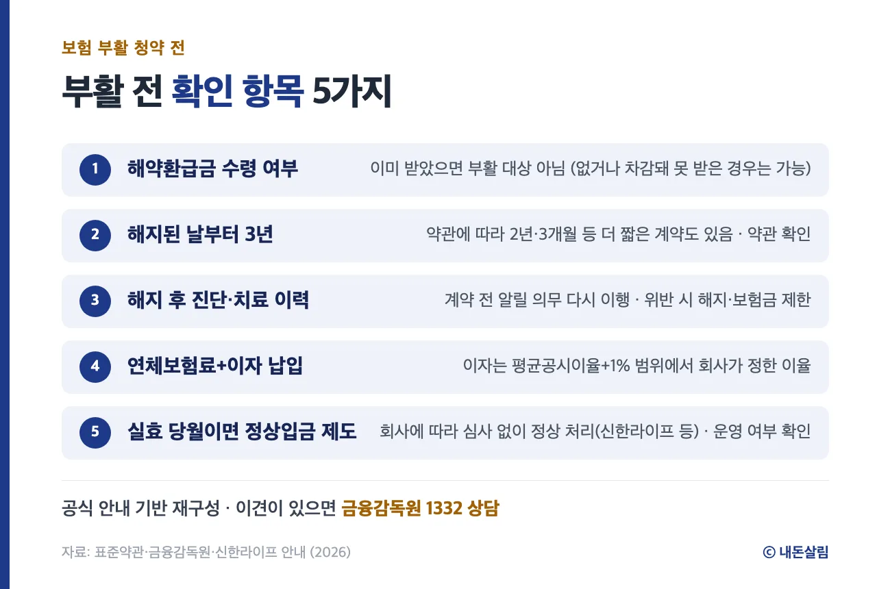 보험 부활 청약 전 확인 항목 5가지 정보 카드, 표준약관·금융감독원 안내 기반 재구성