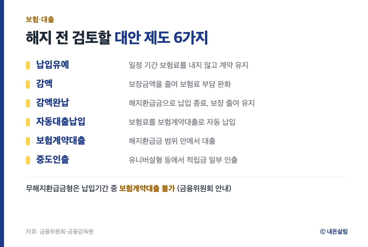 보험 해지 전 검토할 수 있는 대안 제도 6가지 정보 카드