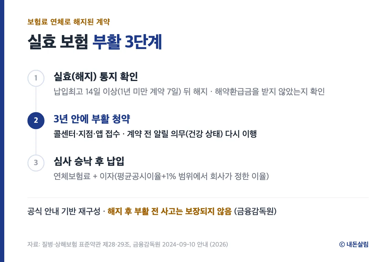 보험 실효 부활 3단계 정보 카드, 표준약관·금융감독원 안내 기반 재구성